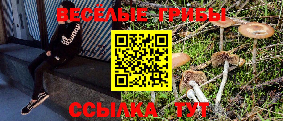 Галлюциногенные грибы MAGIC MUSHROOMS  Вход с VPN  Канск 